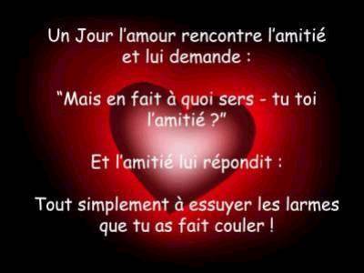 l amour et l amitie